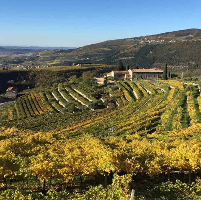 valpolicella vineyards in Marano