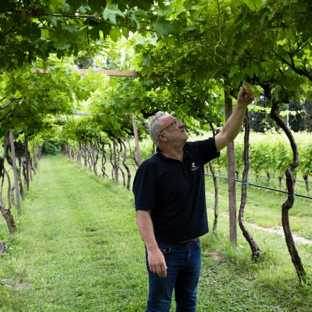 Garda Lake Wine Tasting